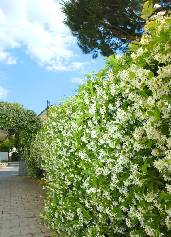 Riviera Residence Marina di Pietrasanta Exterior foto